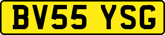 BV55YSG