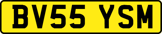 BV55YSM
