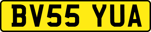 BV55YUA