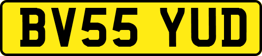 BV55YUD