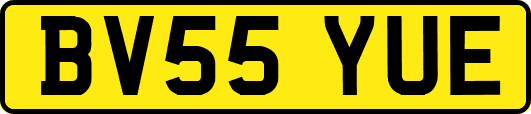 BV55YUE