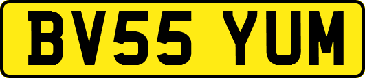BV55YUM