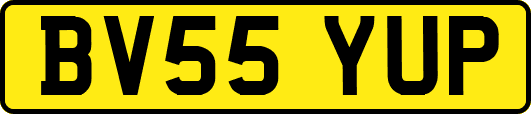 BV55YUP