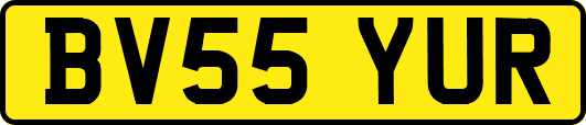 BV55YUR