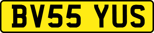 BV55YUS