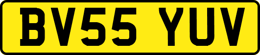 BV55YUV