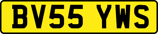 BV55YWS