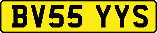 BV55YYS