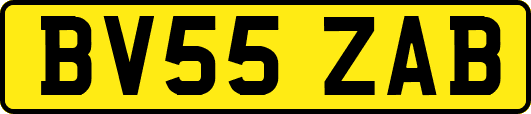 BV55ZAB