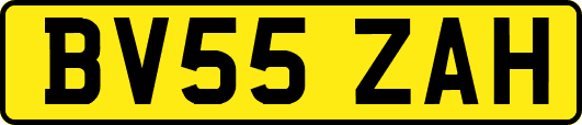BV55ZAH