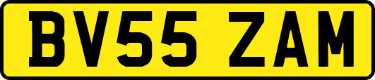 BV55ZAM