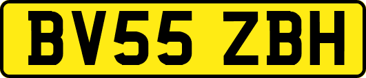 BV55ZBH