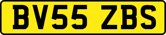 BV55ZBS