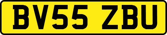 BV55ZBU