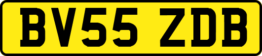 BV55ZDB