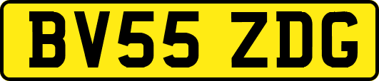 BV55ZDG