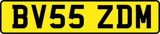 BV55ZDM