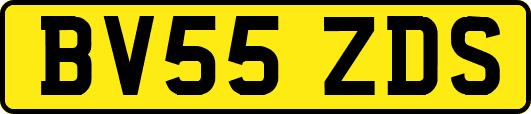 BV55ZDS