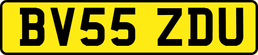 BV55ZDU