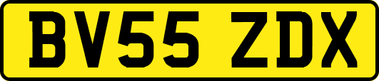 BV55ZDX