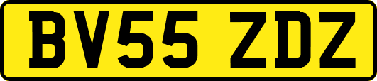 BV55ZDZ