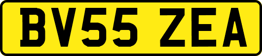 BV55ZEA