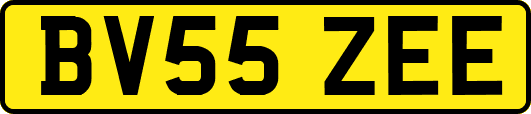 BV55ZEE