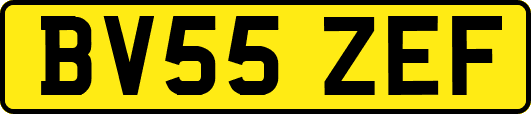 BV55ZEF