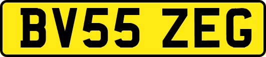 BV55ZEG