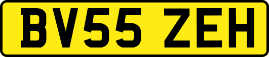 BV55ZEH