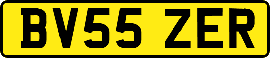 BV55ZER