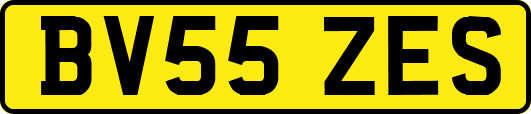 BV55ZES