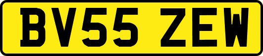 BV55ZEW