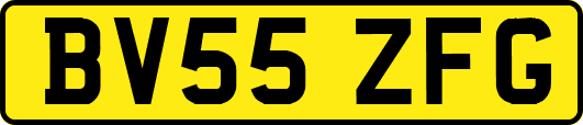 BV55ZFG