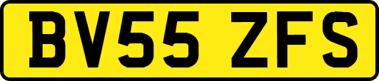 BV55ZFS