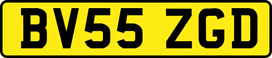 BV55ZGD