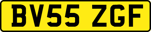 BV55ZGF