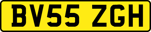 BV55ZGH