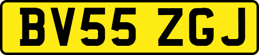 BV55ZGJ