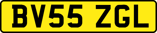 BV55ZGL