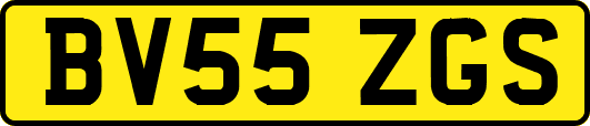BV55ZGS