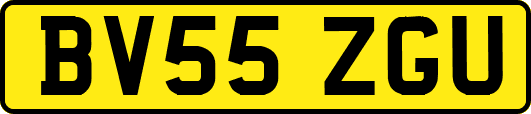 BV55ZGU