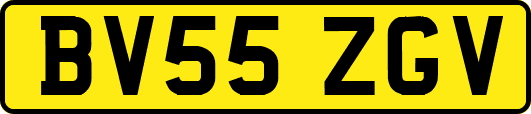 BV55ZGV