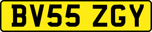 BV55ZGY