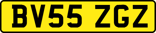 BV55ZGZ