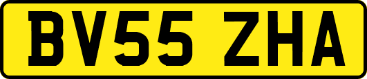 BV55ZHA