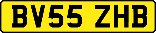 BV55ZHB