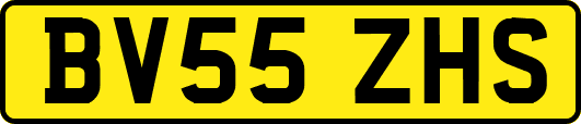 BV55ZHS