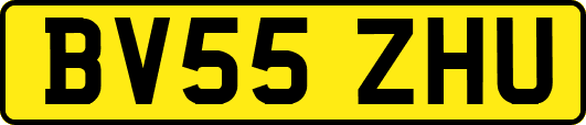 BV55ZHU