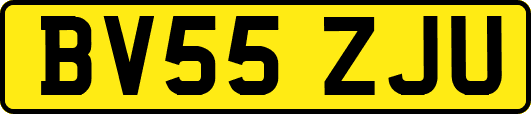BV55ZJU